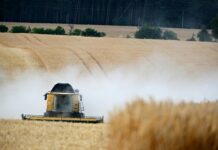 Modernizing Post-Harvest Storage: Technologies That Slash Crop Losses in Rural Areas