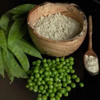 Pea Protein protein ingredient