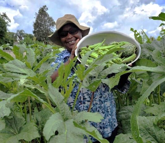 Over 600 African Faith Leaders Demand Reparations from Gates Foundation, Call for Shift to Agroecology