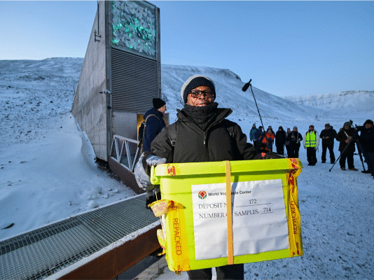 Africa’s Vegetable Genebank Makes Largest-Ever Deposit of Traditional African Vegetable Seeds in Global Repository