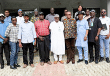 IITA and Rwanda Agriculture Board in Partnership to Advance Maize Seed Systems