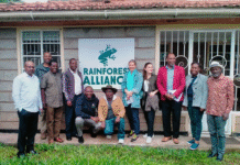 Rainforest Alliance Mobilizes Private Finance to Drive Sustainable Farming in Mount Kenya