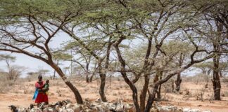 Conflict in the Middle East Threatens Global Food Systems