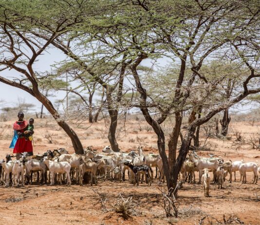 Conflict in the Middle East Threatens Global Food Systems