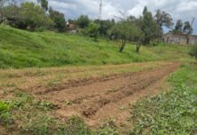 Historic partnership ensures reliable water supply to vegetable garden