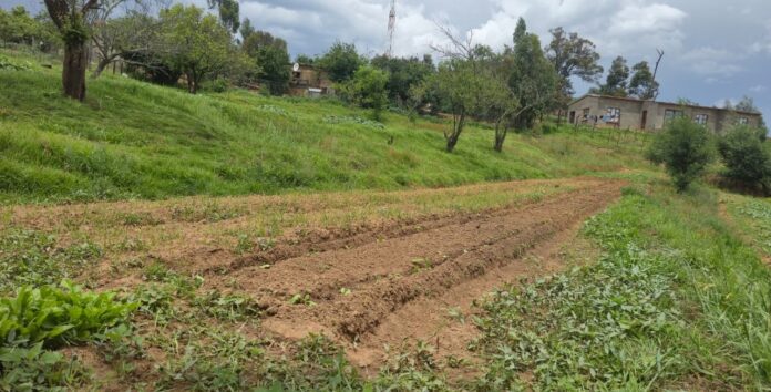 20251104-NHTKL-Media Statement-Batlokoa Ba Mota-Photo05