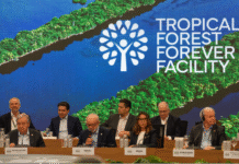 COP30 Opens in Brazil Amid Funding Gaps and Calls for Climate Justice