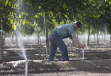 Nelson Irrigation Corporation – Revolutionizing Micro Irrigation for Tree Fruit & Nuts