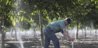 Nelson Irrigation Corporation – Revolutionizing Micro Irrigation for Tree Fruit & Nuts