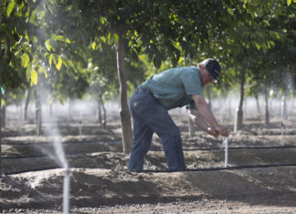 Nelson Irrigation Corporation – Revolutionizing Micro Irrigation for Tree Fruit & Nuts