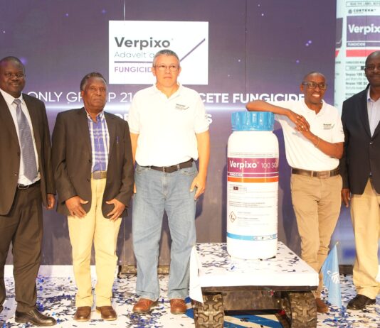 Novel active ingredient protects flowers against damaging fungal diseases