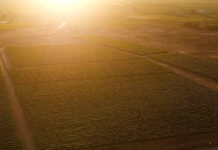 OpEd -Why challenges in land reform persist