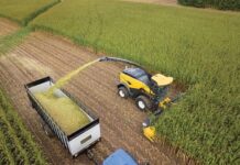 Agritechnica Debut for W170D+ Forage Power Wheel Loader and New FR Forage Cruiser Harvester Models