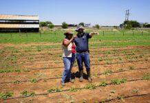 Partnership gives emerging farmer a boost on her path to commercialisation