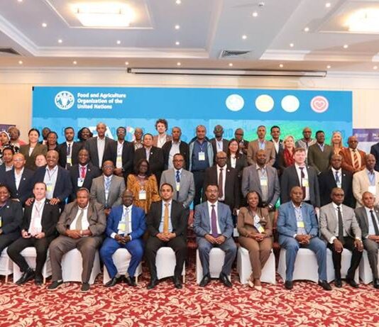 FAO Calls for Stronger Partnerships and Quality Investment to Accelerate Agrifood Systems Transformation in Eastern Africa