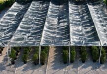 Extreme Weather Protection for High Value Crops