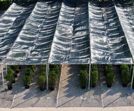 Extreme Weather Protection for High Value Crops