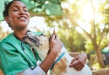 Veterinarians’ Role in Community Outreach for Better Animal Health