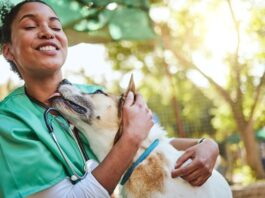 Veterinarians’ Role in Community Outreach for Better Animal Health