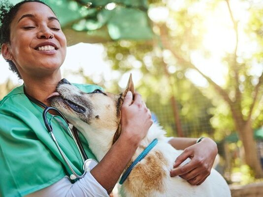 Veterinarians’ Role in Community Outreach for Better Animal Health