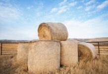 New Holland Launches Tech and Durability-boosted Roll-Belt™ Variable-Chamber Balers – and New Compostable Nature’s Net Wrap