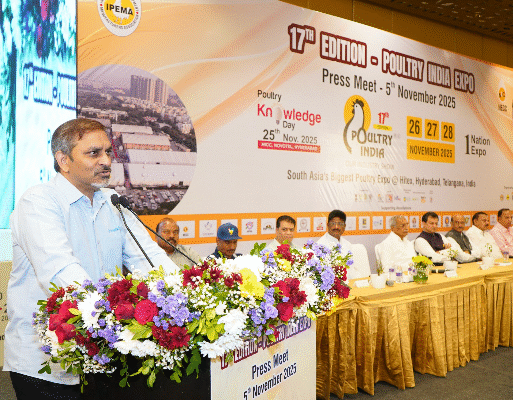 image-600×400 – 2025-11-12T092326.951