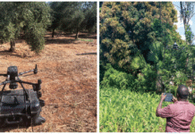 Relevance of precision agriculture for African farming systems