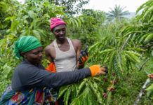 €2.75B in East African Agri-Exports at Risk as Only 15% Meet Traceability Requirements