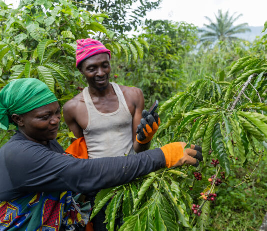 €2.75B in East African Agri-Exports at Risk as Only 15% Meet Traceability Requirements