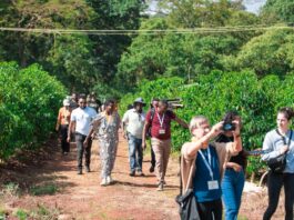 Second Coffee Origins Trip to Examine Ethiopia’s Arabica Landscapes Through a Research-Focused Lens