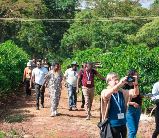 Second Coffee Origins Trip to Examine Ethiopia’s Arabica Landscapes Through a Research-Focused Lens