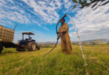 CPAs urged to use festive season downtime to fix governance gaps and unlock the true value of restored land