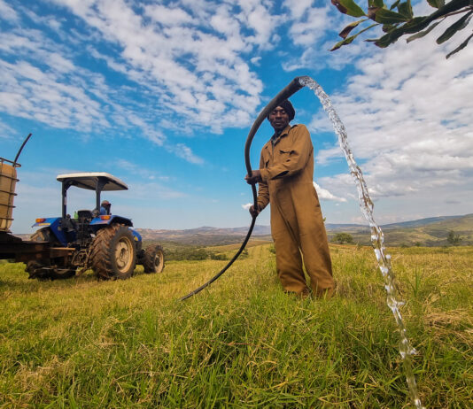 CPAs urged to use festive season downtime to fix governance gaps and unlock the true value of restored land