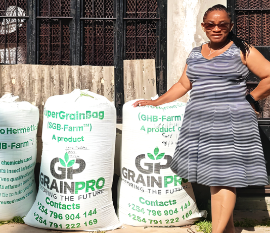 A Story of Legacy, Loss, and Rediscovery :The Queen of Mdzihana Maize