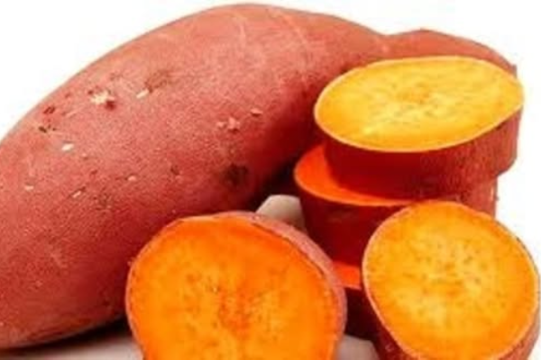 Orange-fleshed Sweetpotato