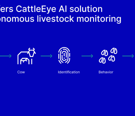 GEA sees new potential in dairy breeding as CattleEye data supports genetic approaches to lameness