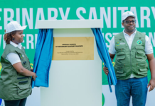 Rwanda Launches Veterinary Sanitary Mandate Policy and Digital Licensing System to Strengthen Animal Health Services