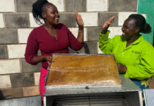 ICRISAT intensifies support for Women-Led Climate-Smart Farming and Nutrition Initiatives in Kenya’s Drylands