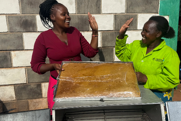 image-600x400 - 2025-12-16T140142.735