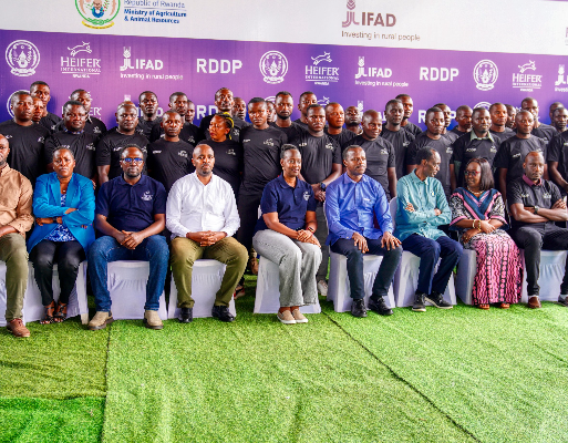 image-600×400 – 2025-12-24T140227.945