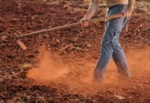 From scout to harvest: Tech tools revolutionizing land Selection in African Agriculture