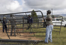 South Africa’s grasslands set a global first for community-led carbon markets