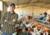 Rethinking poultry ventilation: new data from ABB