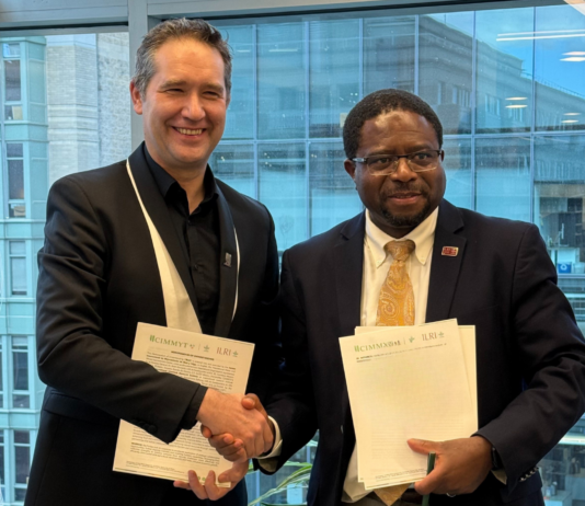 ILRI, CIMMYT sign new MoU to deepen crop–livestock research collaboration