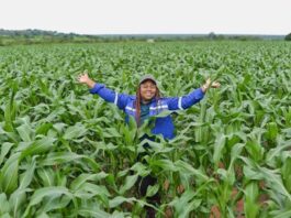 Corteva empowering farmers through technology and trusted partnerships