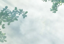 Drax signs strategic wear parts supply agreement for North America with ANDRITZ