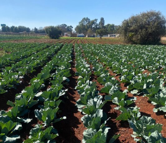 International Day of Education (24 January 2026): Farms as Learning Spaces