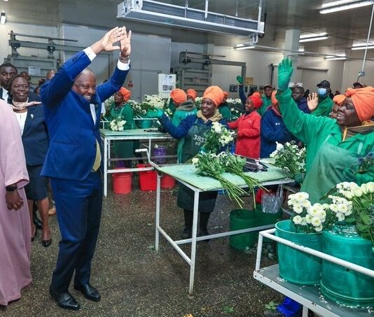 Kenya moves to end VAT refund delays, boost agricultural exports