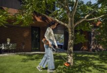 Lawn and order -keeping your grass in the check