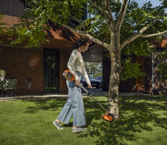 Lawn and order -keeping your grass in the check